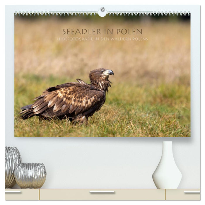 Seeadler in Polen (CALVENDO Premium Wandkalender 2026)
