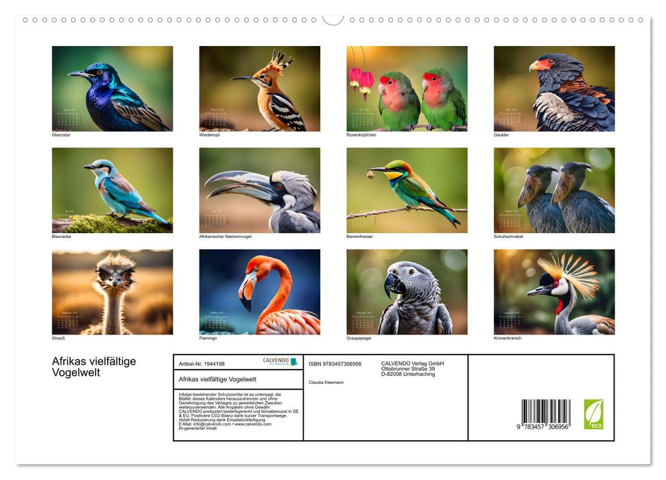 Afrikas vielfältige Vogelwelt (CALVENDO Premium Wandkalender 2026)