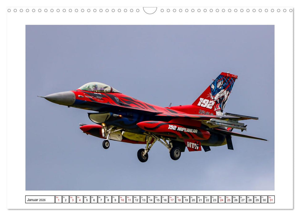 Nato Tiger Meet Schleswig (CALVENDO Wandkalender 2026)