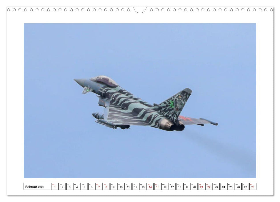 Nato Tiger Meet Schleswig (CALVENDO Wandkalender 2026)