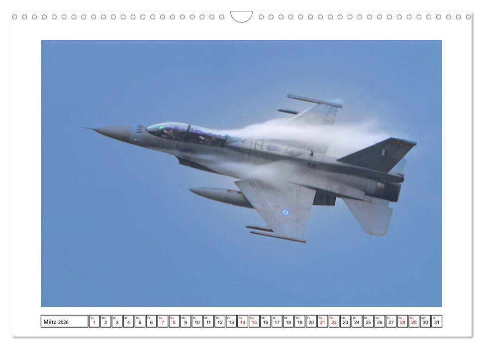 Nato Tiger Meet Schleswig (CALVENDO Wandkalender 2026)