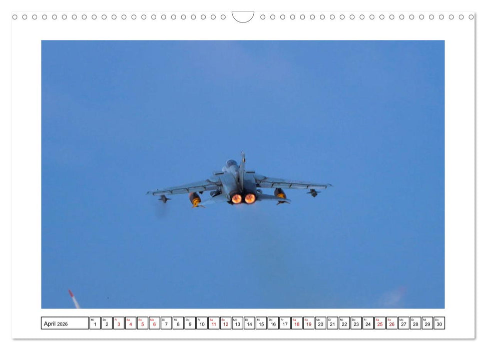 Nato Tiger Meet Schleswig (CALVENDO Wandkalender 2026)