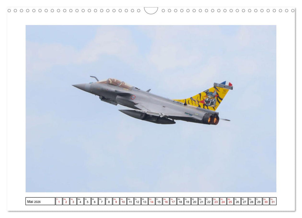 Nato Tiger Meet Schleswig (CALVENDO Wandkalender 2026)