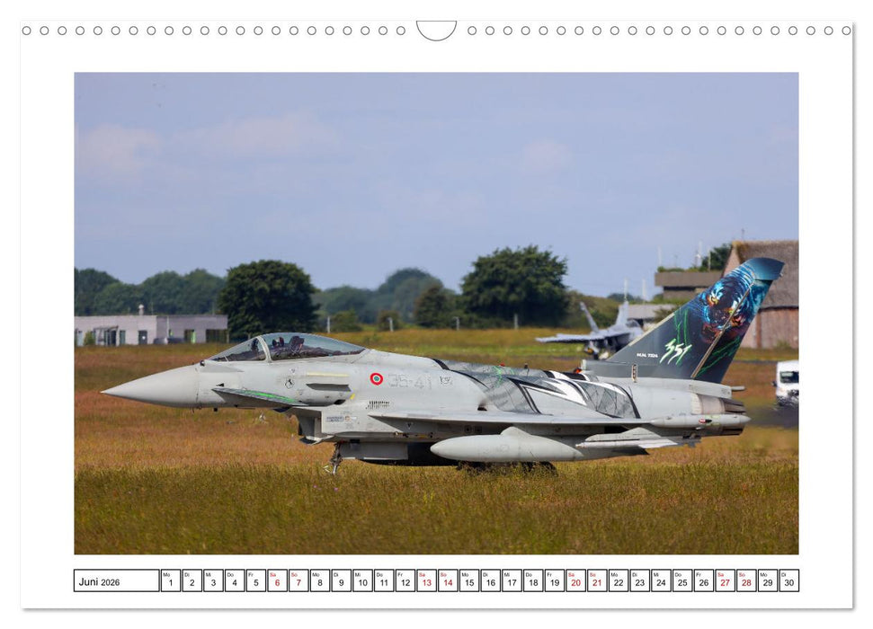 Nato Tiger Meet Schleswig (CALVENDO Wandkalender 2026)