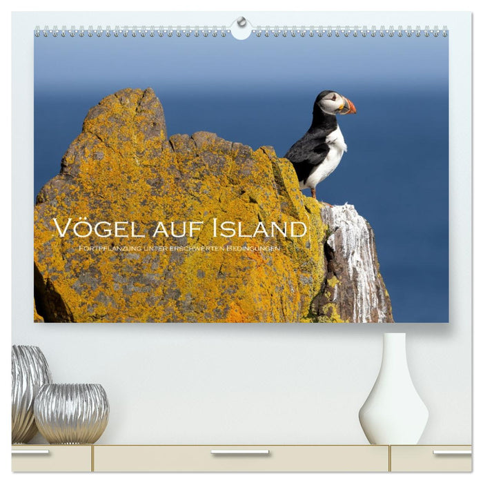 Vögel auf Island (CALVENDO Premium Wandkalender 2026)