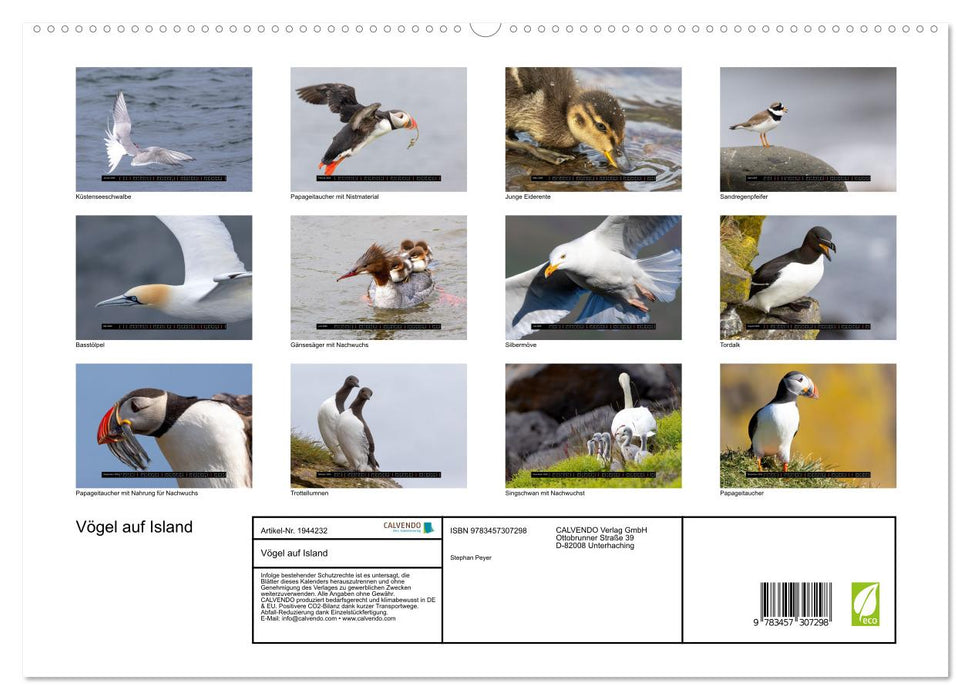 Vögel auf Island (CALVENDO Premium Wandkalender 2026)