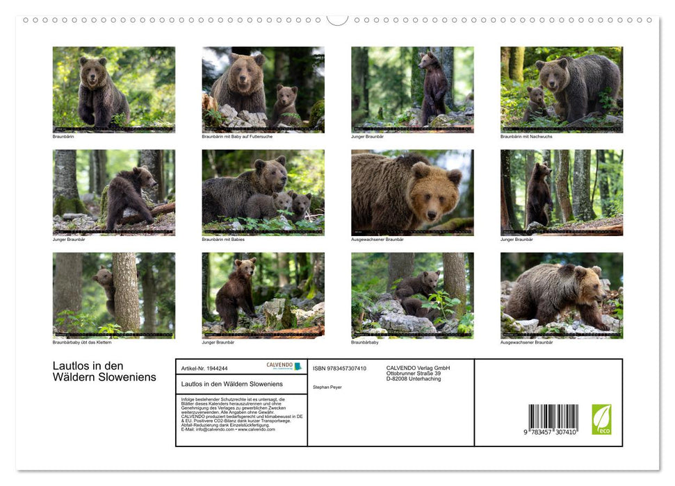 Lautlos in den Wäldern Sloweniens (CALVENDO Premium Wandkalender 2026)