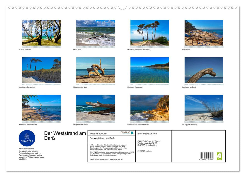 Der Weststrand am Darß (CALVENDO Wandkalender 2026)