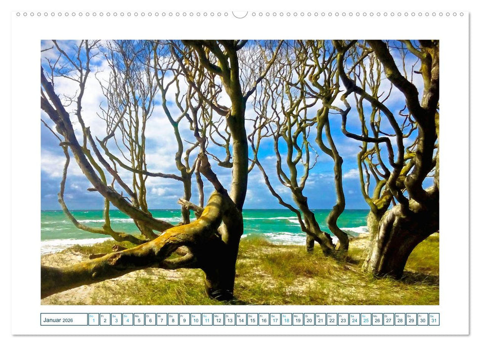 Der Weststrand am Darß (CALVENDO Wandkalender 2026)