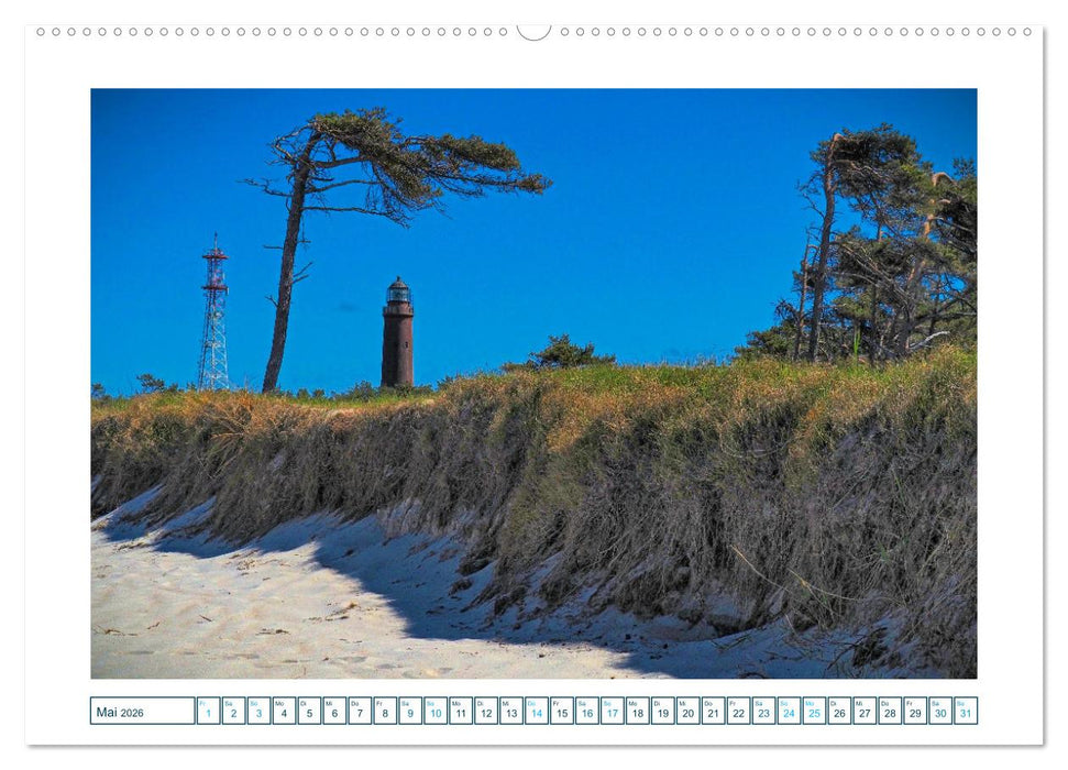Der Weststrand am Darß (CALVENDO Wandkalender 2026)