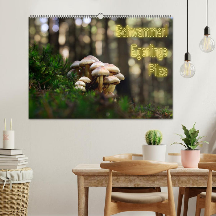 Schwammerl Egerlinge Pilze (CALVENDO Wandkalender 2026)