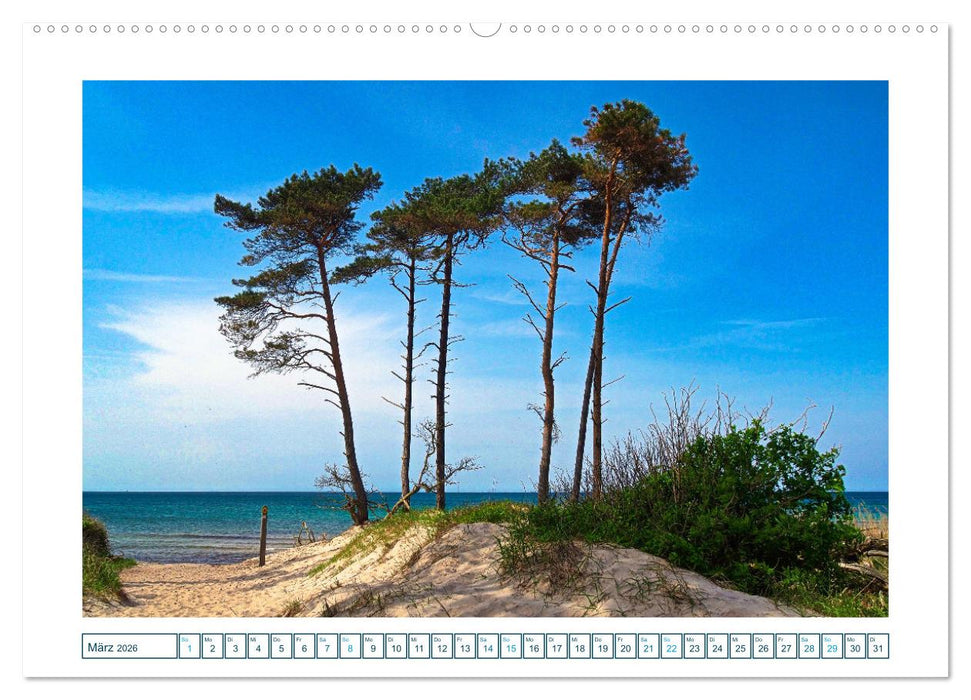 Der Weststrand am Darß (CALVENDO Premium Wandkalender 2026)