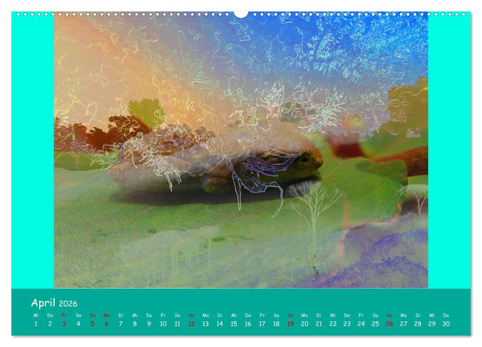 Seelen Bilder (CALVENDO Premium Wandkalender 2026)