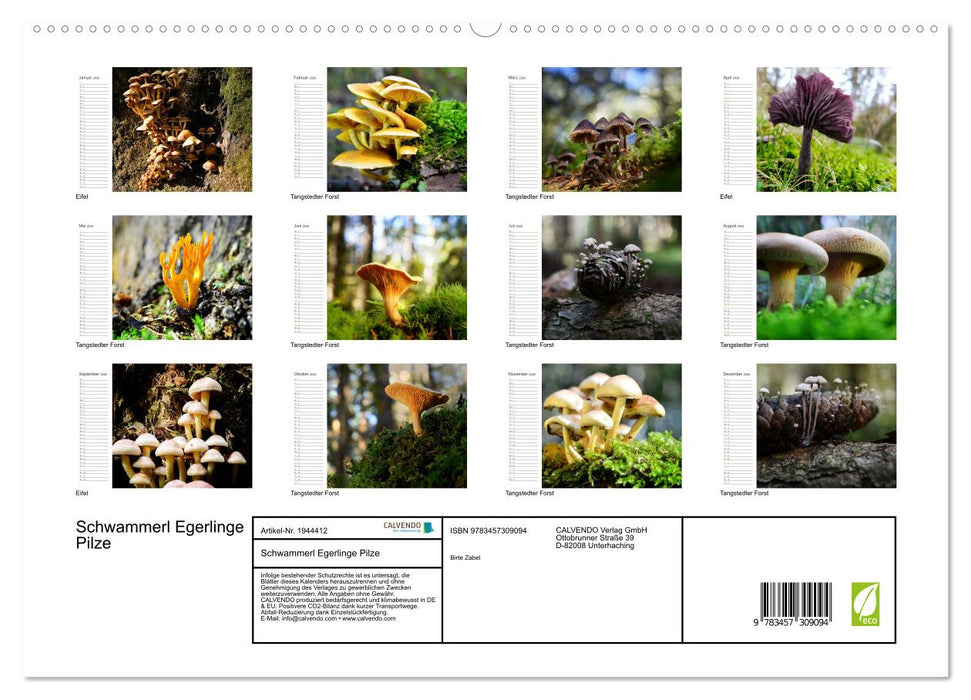 Schwammerl Egerlinge Pilze (CALVENDO Premium Wandkalender 2026)