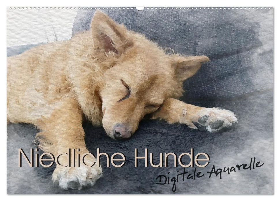 Niedliche Hunde - Digitale Aquarelle (CALVENDO Wandkalender 2026)