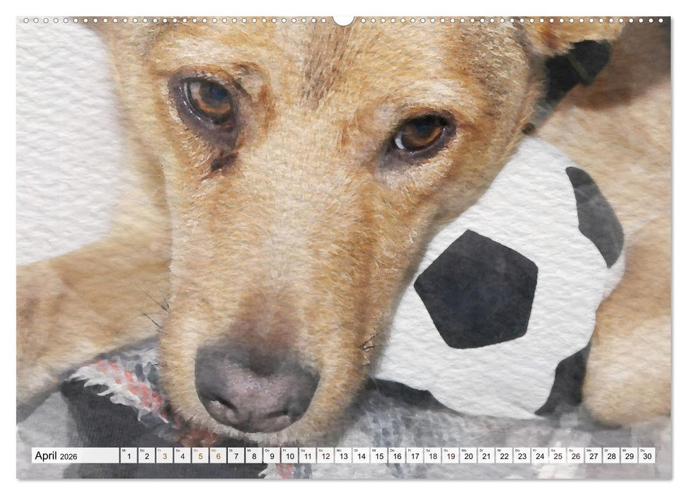 Niedliche Hunde - Digitale Aquarelle (CALVENDO Wandkalender 2026)