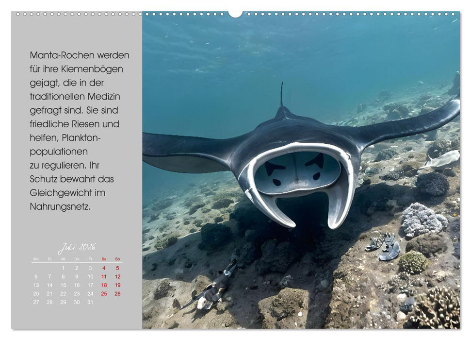 Meerestiere in Gefahr - Unsere Ozeane, unsere Verantwortung (CALVENDO Premium Wandkalender 2026)