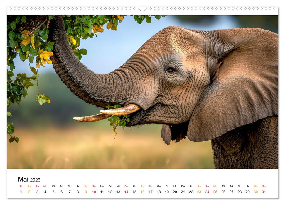 Elefanten - Riesen der Wildnis (CALVENDO Premium Wandkalender 2026)