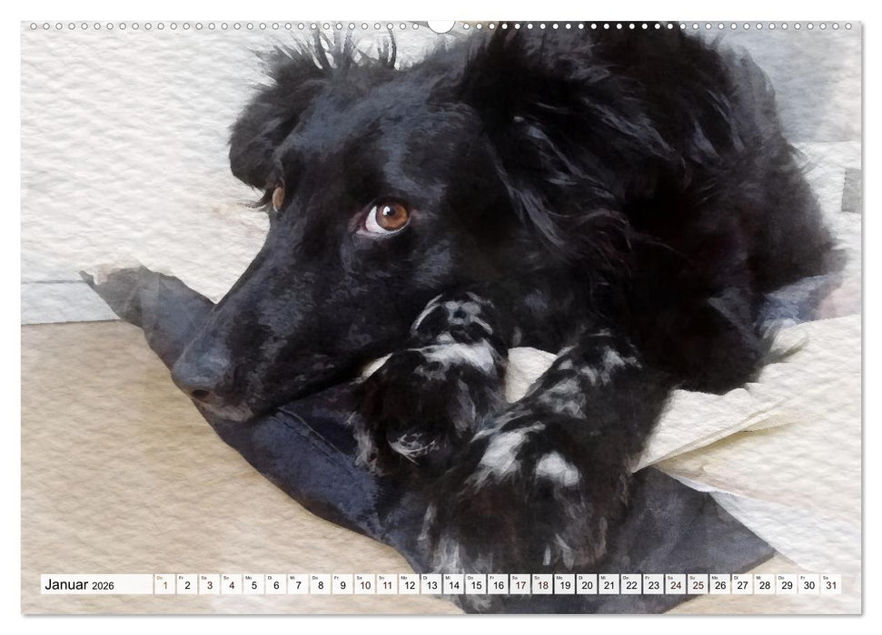 Niedliche Hunde - Digitale Aquarelle (CALVENDO Premium Wandkalender 2026)