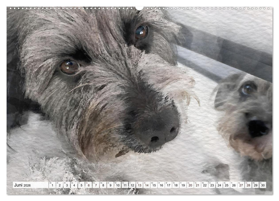 Niedliche Hunde - Digitale Aquarelle (CALVENDO Premium Wandkalender 2026)