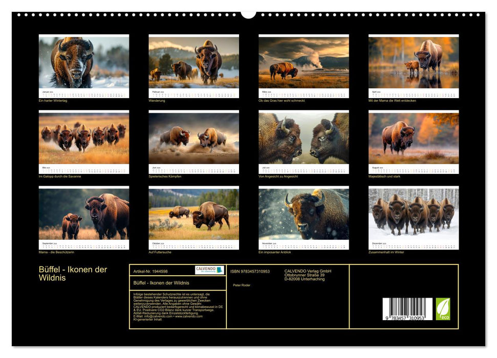 Büffel - Ikonen der Wildnis (CALVENDO Premium Wandkalender 2026)