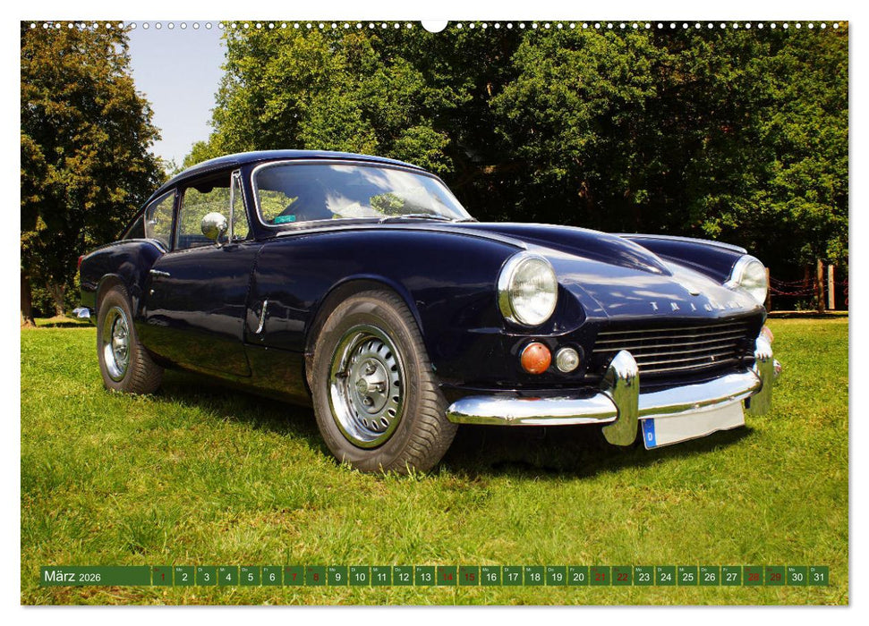 Damals war's - Sportwagen der sechziger bis achtziger Jahre (CALVENDO Premium Wandkalender 2026)
