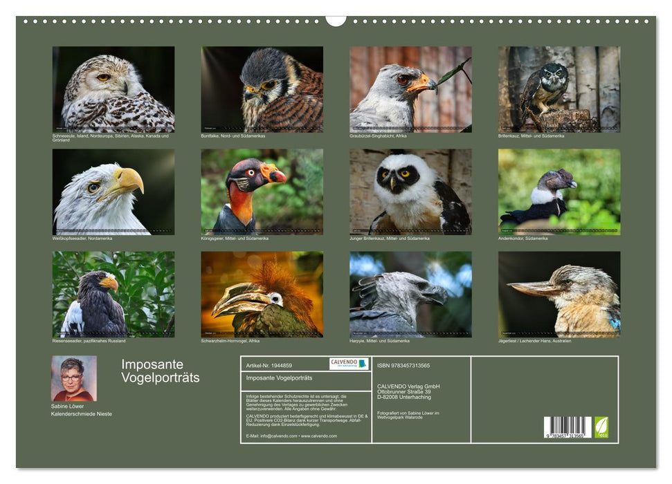 Imposante Vogelporträts (CALVENDO Wandkalender 2026)