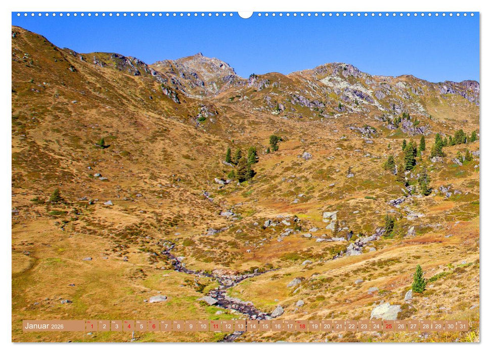 Es fließt die Salzach (CALVENDO Wandkalender 2026)