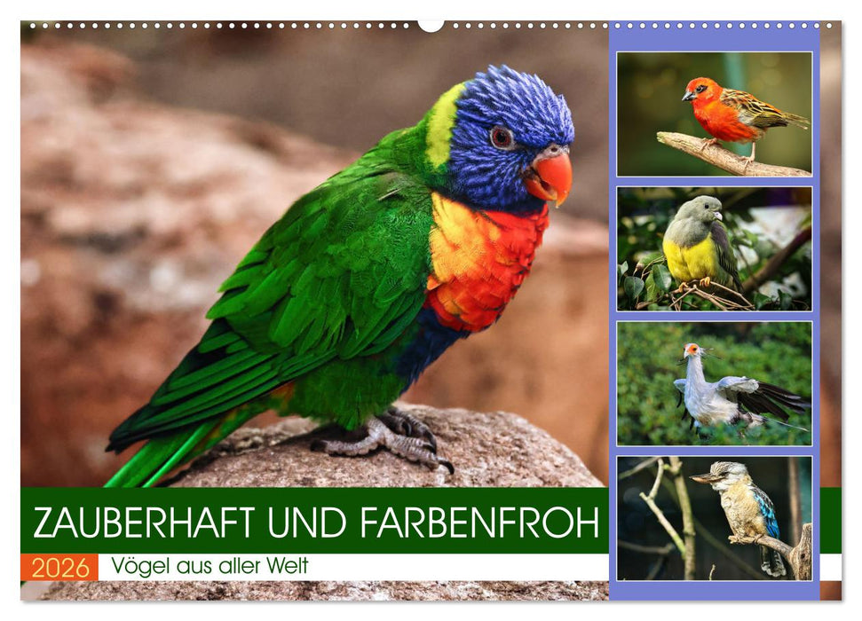 Zauberhaft und farbenfroh (CALVENDO Wandkalender 2026)