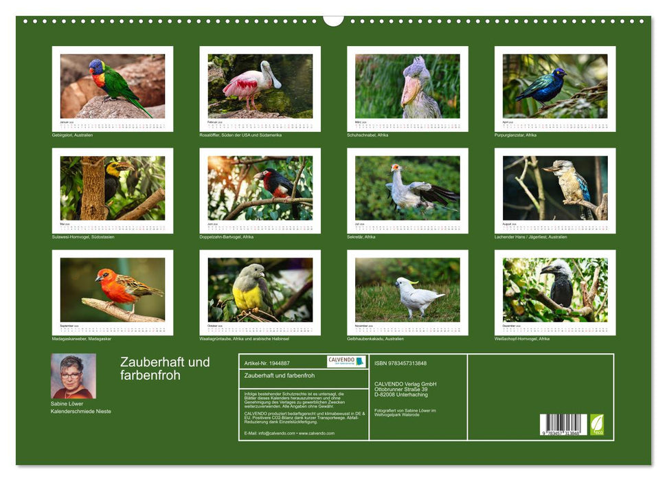 Zauberhaft und farbenfroh (CALVENDO Wandkalender 2026)