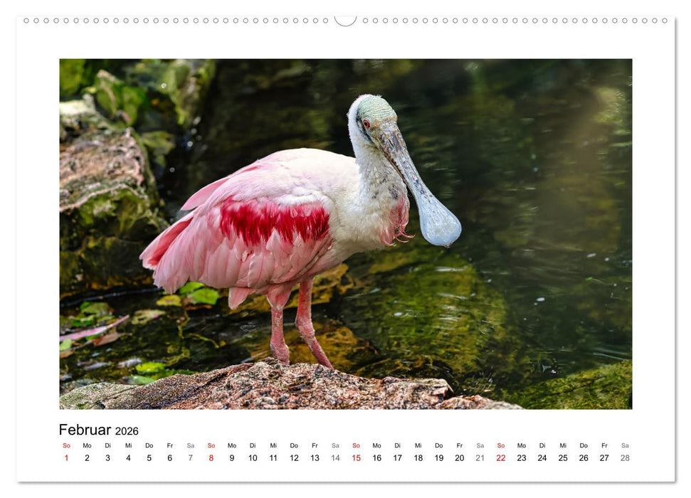 Zauberhaft und farbenfroh (CALVENDO Wandkalender 2026)