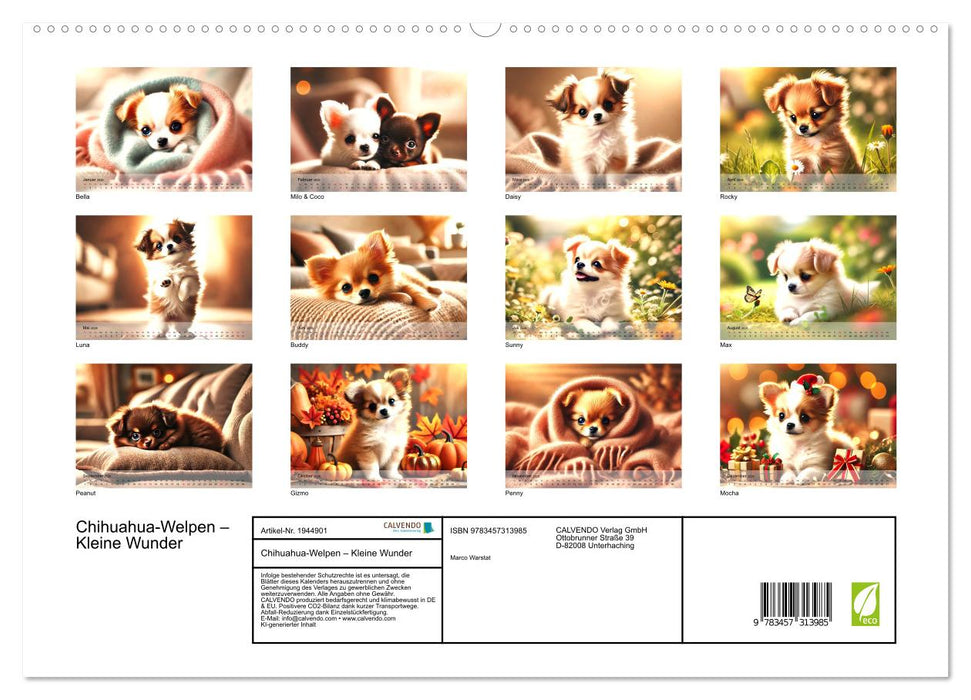 Chihuahua-Welpen – Kleine Wunder (CALVENDO Premium Wandkalender 2026)