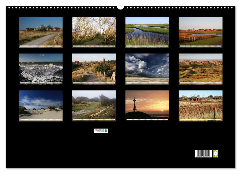 Insel Baltrum, Perle im Ostfriesischen Wattenmeer (CALVENDO Wandkalender 2026)