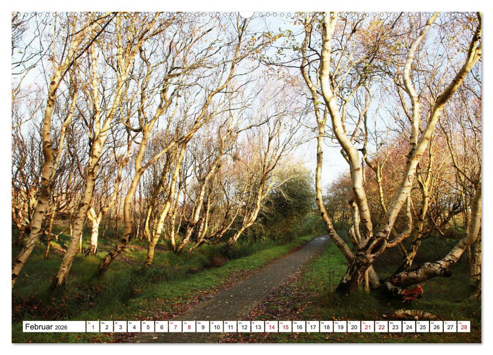 Insel Baltrum, Perle im Ostfriesischen Wattenmeer (CALVENDO Wandkalender 2026)