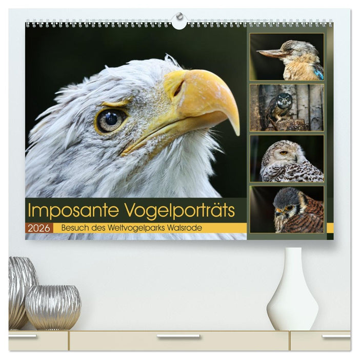 Imposante Vogelporträts (CALVENDO Premium Wandkalender 2026)