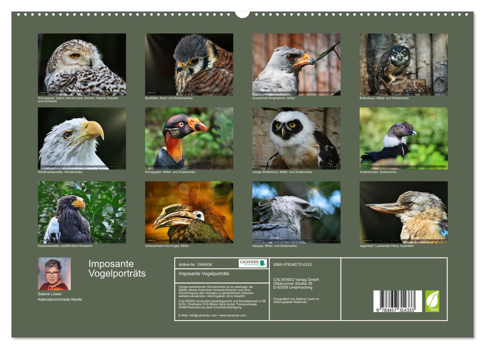Imposante Vogelporträts (CALVENDO Premium Wandkalender 2026)