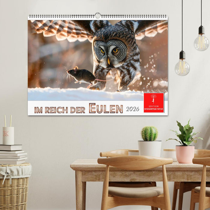 Im Reich der Eulen (CALVENDO Wandkalender 2026)