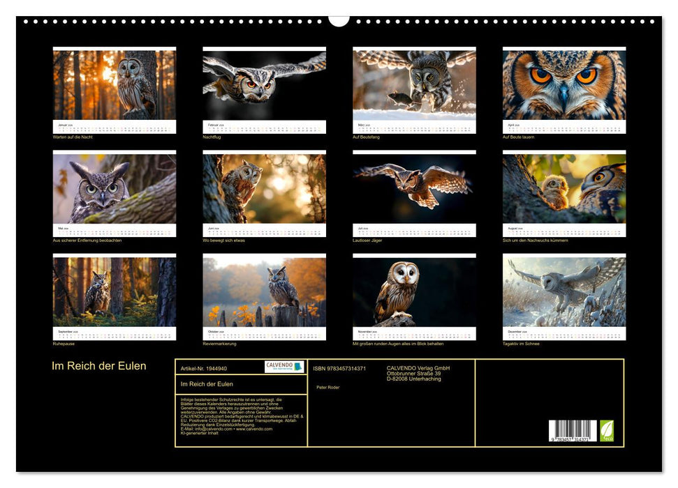 Im Reich der Eulen (CALVENDO Wandkalender 2026)