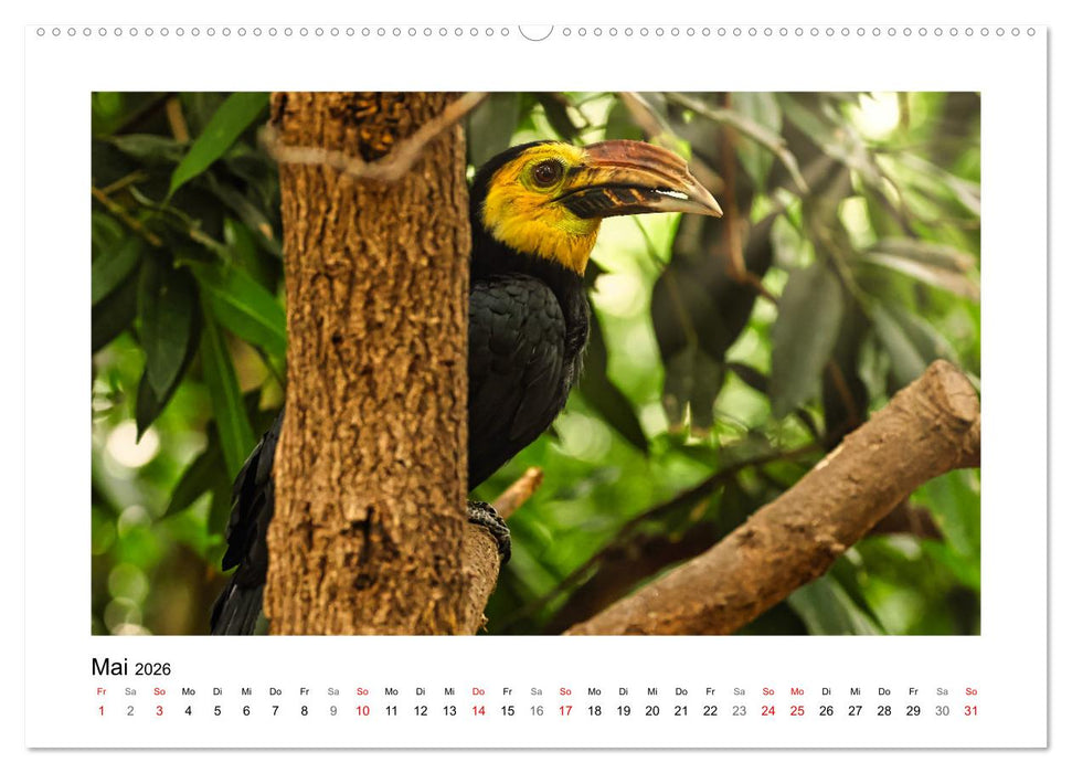 Zauberhaft und farbenfroh (CALVENDO Premium Wandkalender 2026)