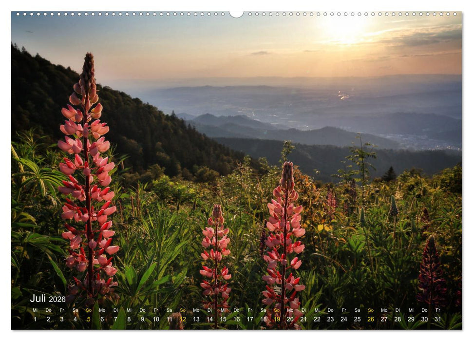 Faszination Schwarzwald (CALVENDO Premium Wandkalender 2026)