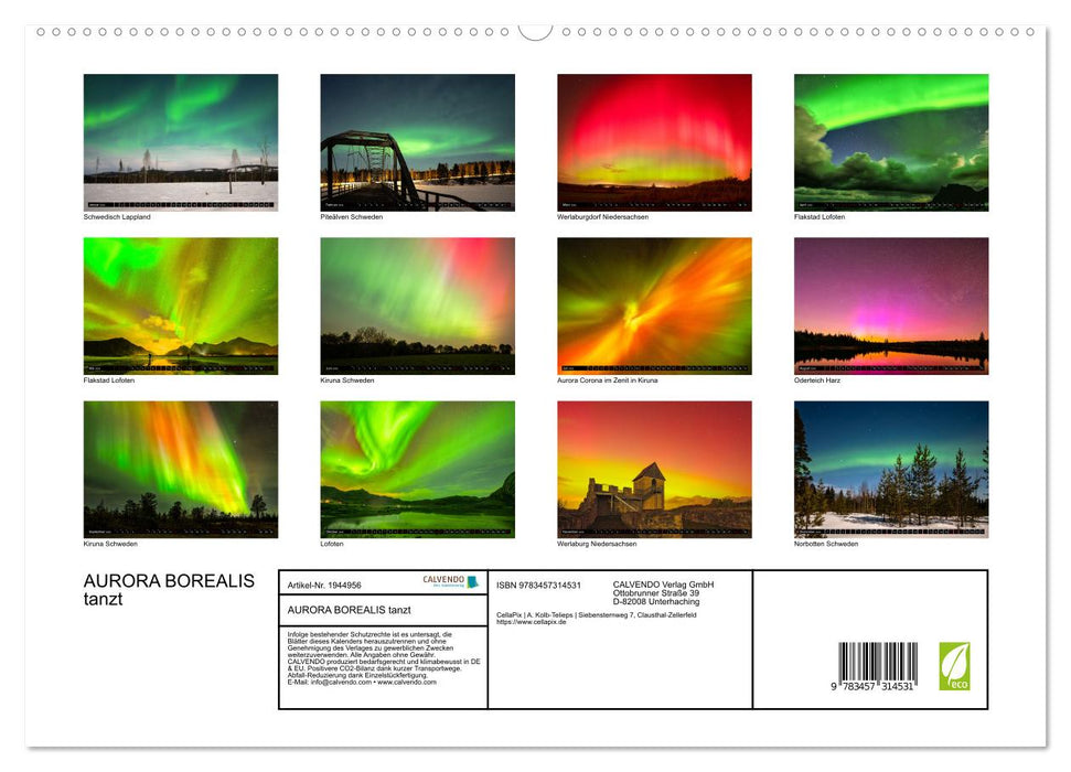 AURORA BOREALIS tanzt (CALVENDO Premium Wandkalender 2026)