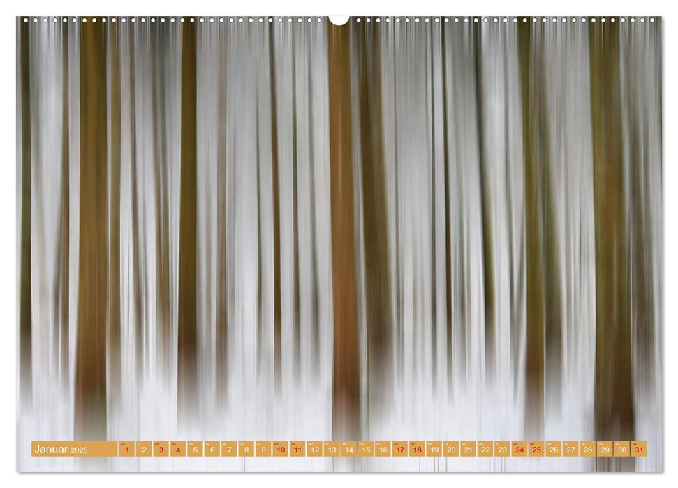 Willkommen im Land des Barcode (CALVENDO Premium Wandkalender 2026)