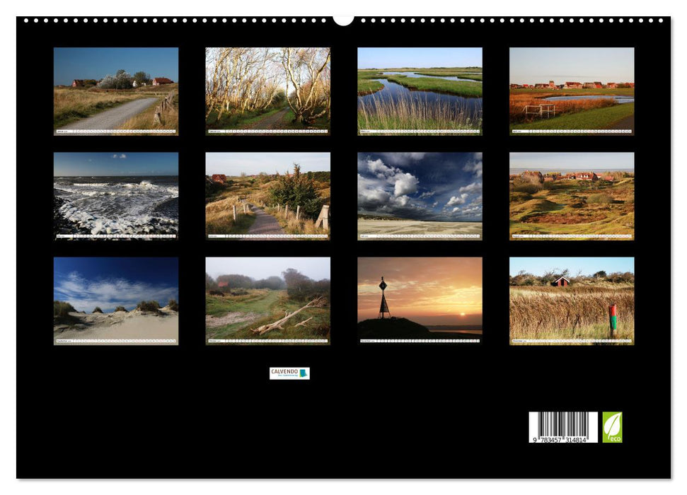 Insel Baltrum, Perle im Ostfriesischen Wattenmeer (CALVENDO Premium Wandkalender 2026)