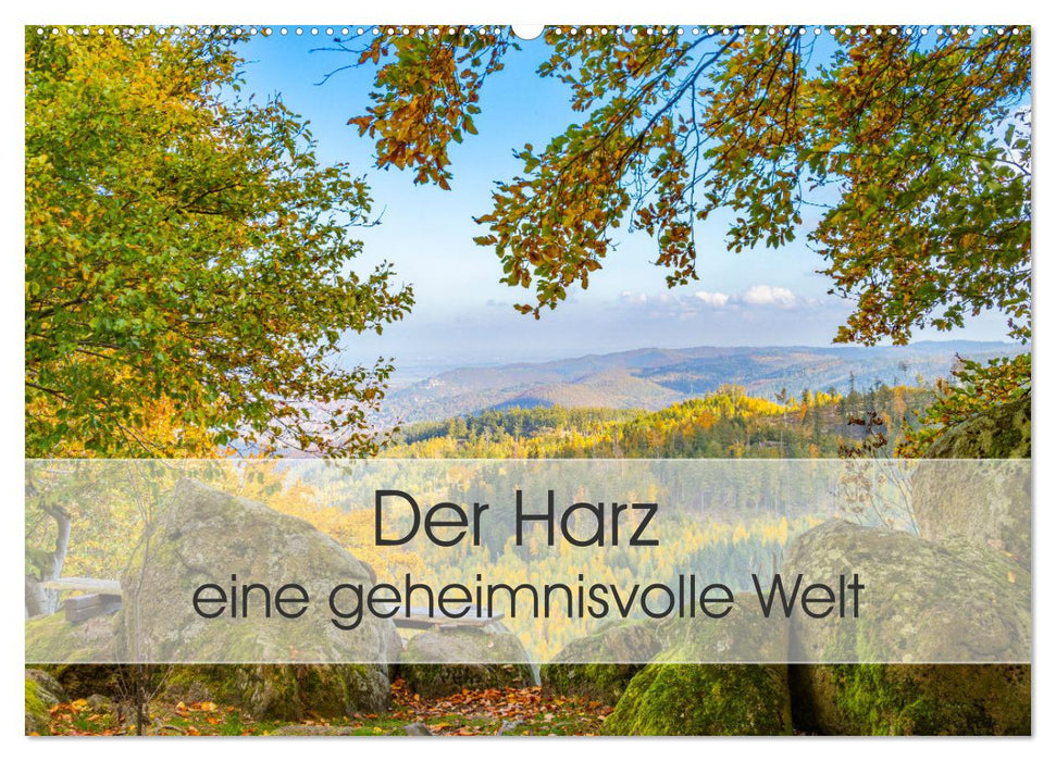 Der Harz - eine geheimnisvolle Welt (CALVENDO Wandkalender 2026)