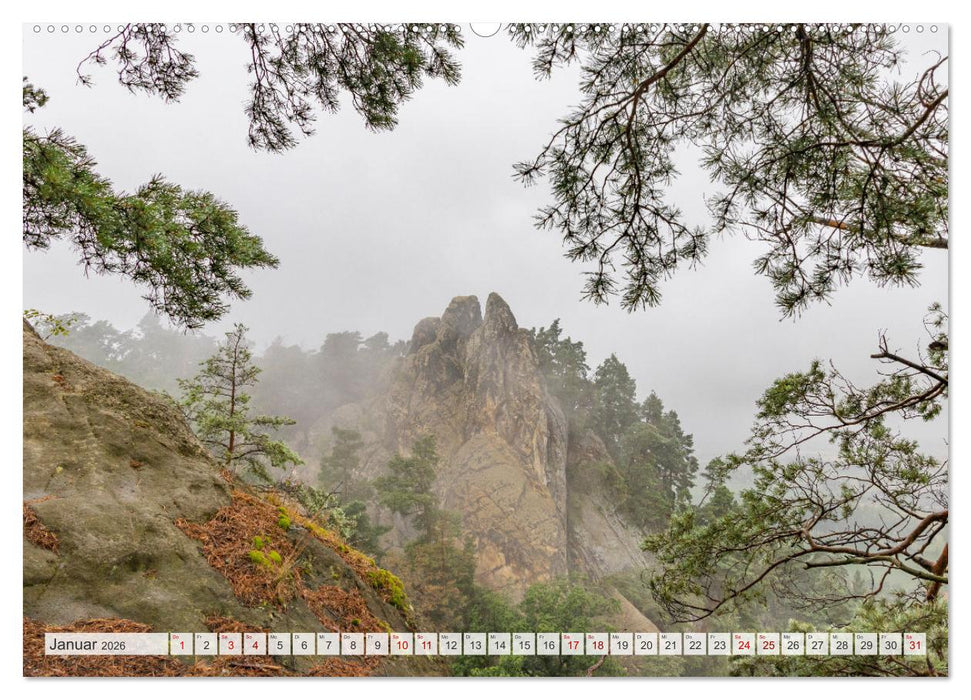 Der Harz - eine geheimnisvolle Welt (CALVENDO Wandkalender 2026)