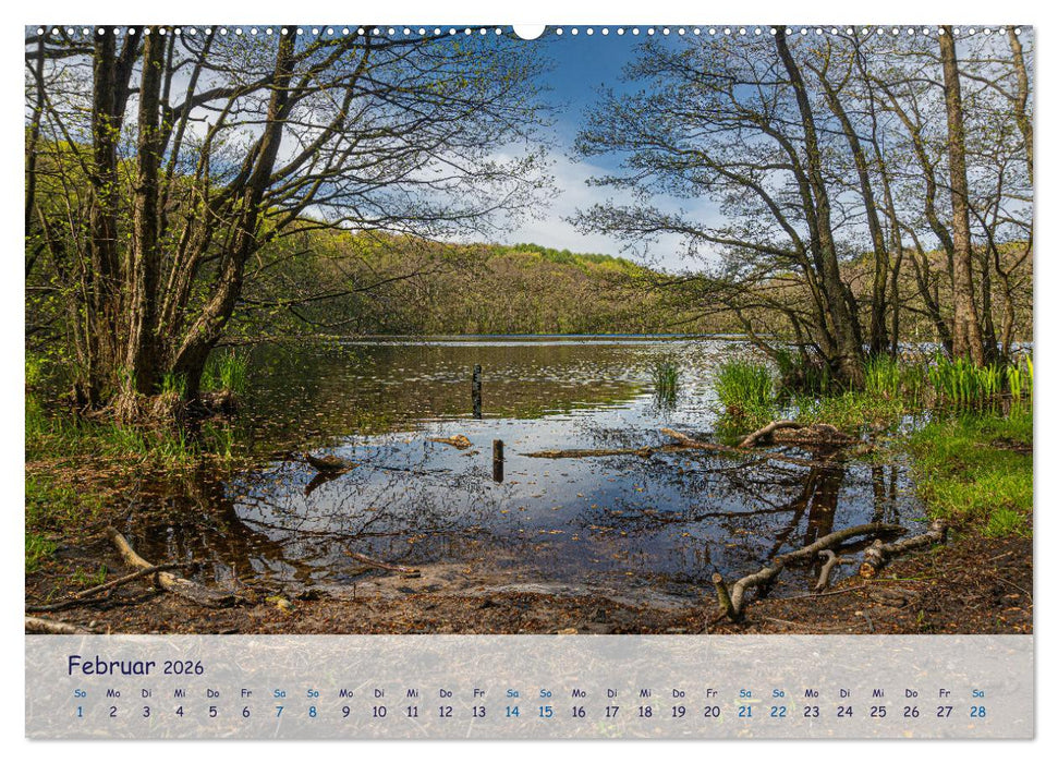 Rügenliebe (CALVENDO Premium Wandkalender 2026)