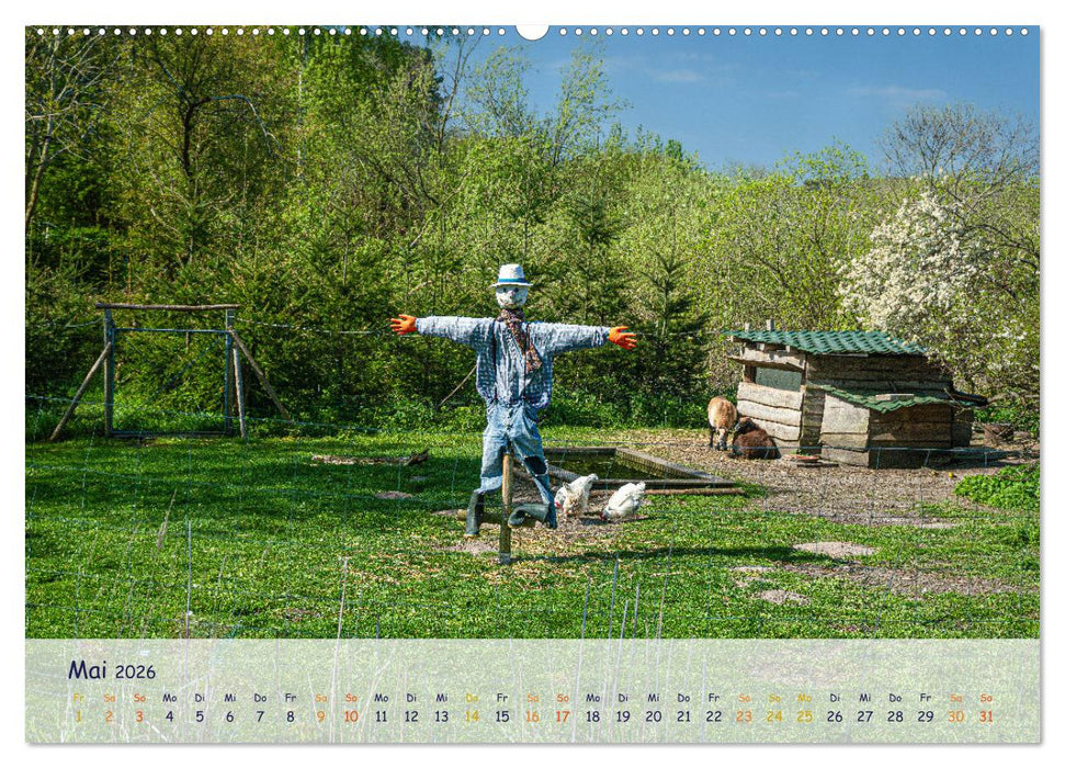 Rügenliebe (CALVENDO Premium Wandkalender 2026)