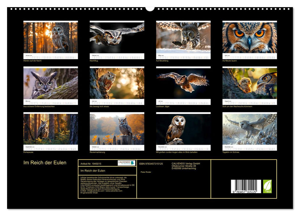 Im Reich der Eulen (CALVENDO Premium Wandkalender 2026)