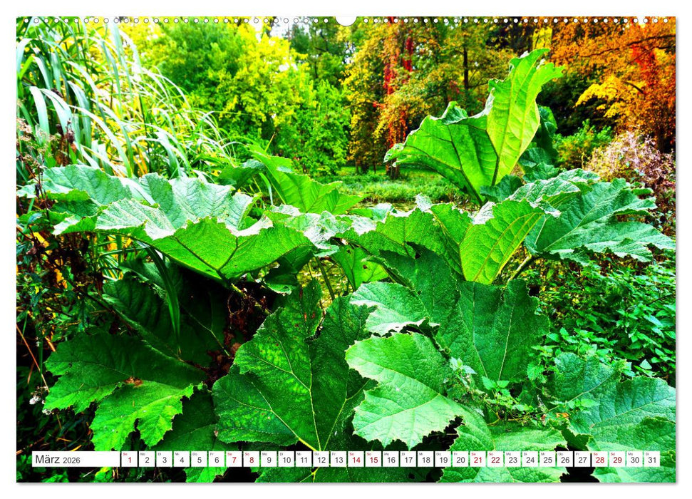 Grünes Paradies - Schlosspark Paffendorf (CALVENDO Wandkalender 2026)