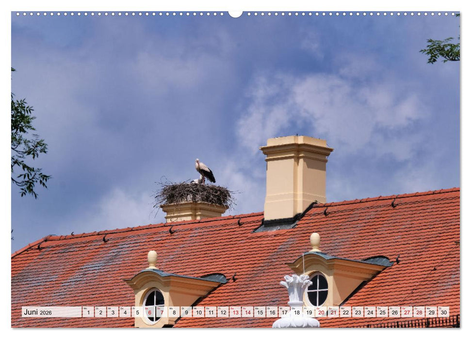 Unterwegs in Wachau (CALVENDO Premium Wandkalender 2026)